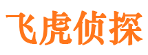 江陵市调查取证